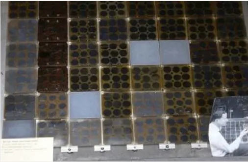 湖北bat365绿色能源有限公司